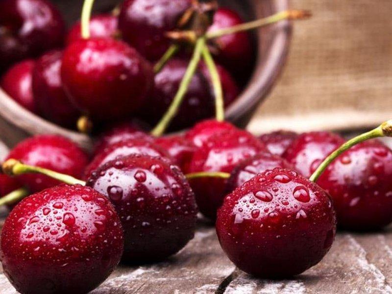 Вишня купить саженцы из питомника в Набережных Челнах